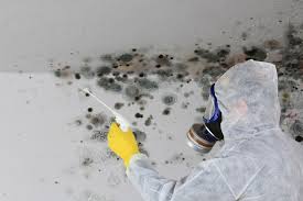 Best Environmental Consulting for Mold Prevention  in Walnut, CA